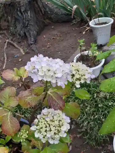 伏木香取神社(茨城県)