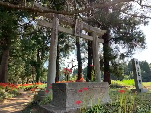 熊野神社の鳥居