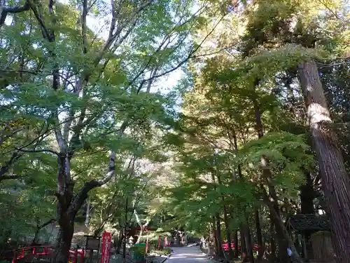 目の霊山　油山寺の自然