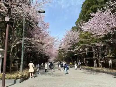 北海道神宮の{uncategorized: "未分類", other: "その他", undefined: "問題あり", building: "その他建物", grave: "お墓", sacred_gate: "鳥居", guardian: "狛犬", statue: "像", buddha: "仏像", history: "歴史", nature: "自然", garden: "庭園", animal: "動物", pagoda: "塔", temizu: "手水舎", mountain_gate: "山門・神門", sanctuary: "本殿・本堂", subordinate: "末社・摂社", art: "芸術", scenery: "景色", jizo: "地蔵", ema: "絵馬", goshuin: "御朱印", omikuji: "おみくじ", items: "授与品その他", amulet: "お守り", goshuincho: "御朱印帳", eats: "食事", festival: "お祭り", votive_dance: "神楽", shichigosan: "七五三参", wedding: "結婚式", experience: "体験その他", initially: "初詣", around: "周辺", anti_infection: "感染症対策"}