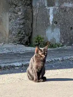 対馬四十四番札所(長崎県)
