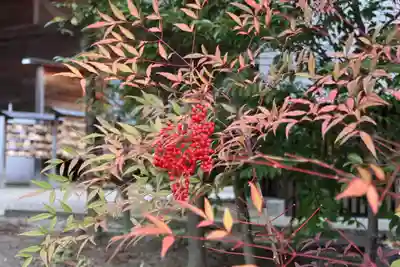 開成山大神宮の庭園
