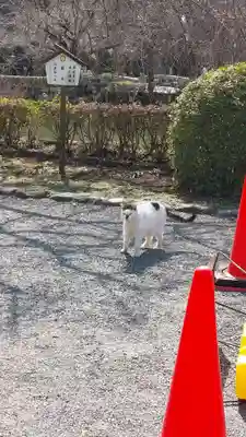 三嶋大社(静岡県)