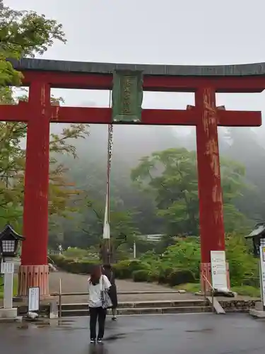 志波彦神社・鹽竈神社の鳥居