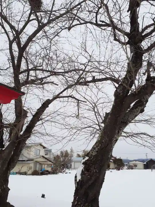 新山神社の自然