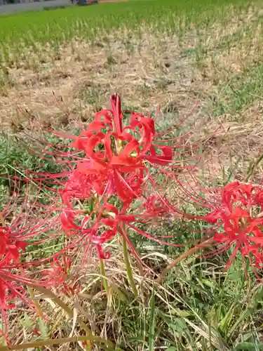 穴太寺(京都府)