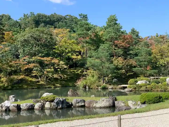 天龍寺の庭園