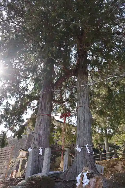 武雄神社(佐賀県)