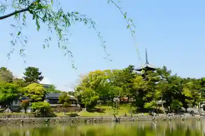 興福寺(奈良県)