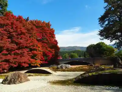 実相院門跡(京都府)
