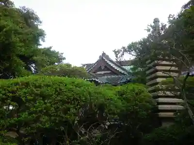 安養院　(田代寺）の本殿・本堂