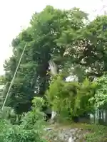 織田神社(熊本県)