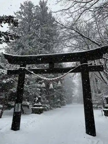 信濃神社の鳥居
