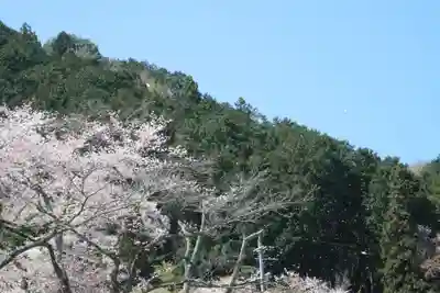霞渓寺(岐阜県)