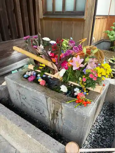 勝林寺(京都府)