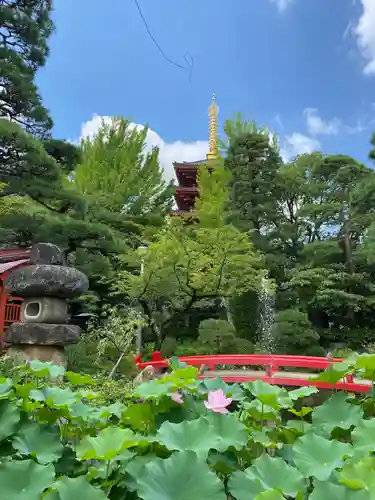 高幡不動尊　金剛寺(東京都)