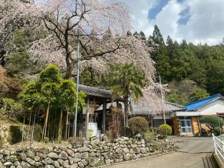 瑞岩寺の{uncategorized: "未分類", other: "その他", undefined: "問題あり", building: "その他建物", grave: "お墓", sacred_gate: "鳥居", guardian: "狛犬", statue: "像", buddha: "仏像", history: "歴史", nature: "自然", garden: "庭園", animal: "動物", pagoda: "塔", temizu: "手水舎", mountain_gate: "山門・神門", sanctuary: "本殿・本堂", subordinate: "末社・摂社", art: "芸術", scenery: "景色", jizo: "地蔵", ema: "絵馬", goshuin: "御朱印", omikuji: "おみくじ", items: "授与品その他", amulet: "お守り", goshuincho: "御朱印帳", eats: "食事", festival: "お祭り", votive_dance: "神楽", shichigosan: "七五三参", wedding: "結婚式", experience: "体験その他", initially: "初詣", around: "周辺", anti_infection: "感染症対策"}