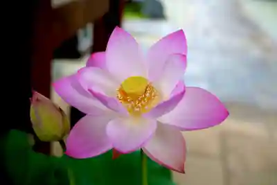 法源寺(山梨県)