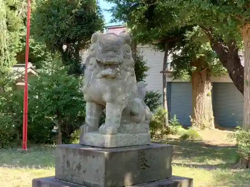 香取神社（旭町香取神社・大鳥神社）の狛犬