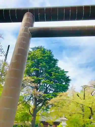 大宝八幡宮の鳥居