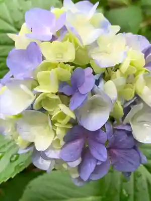 石都々古和気神社(福島県)