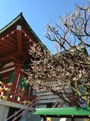 亀戸天神社(東京都)