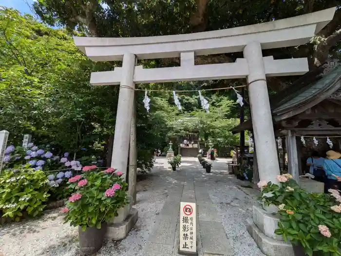 御霊神社の鳥居