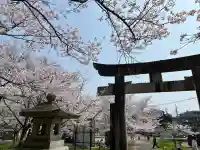 筑紫神社の{uncategorized: "未分類", other: "その他", undefined: "問題あり", building: "その他建物", grave: "お墓", sacred_gate: "鳥居", guardian: "狛犬", statue: "像", buddha: "仏像", history: "歴史", nature: "自然", garden: "庭園", animal: "動物", pagoda: "塔", temizu: "手水舎", mountain_gate: "山門・神門", sanctuary: "本殿・本堂", subordinate: "末社・摂社", art: "芸術", scenery: "景色", jizo: "地蔵", ema: "絵馬", goshuin: "御朱印", omikuji: "おみくじ", items: "授与品その他", amulet: "お守り", goshuincho: "御朱印帳", eats: "食事", festival: "お祭り", votive_dance: "神楽", shichigosan: "七五三参", wedding: "結婚式", experience: "体験その他", initially: "初詣", around: "周辺", anti_infection: "感染症対策"}