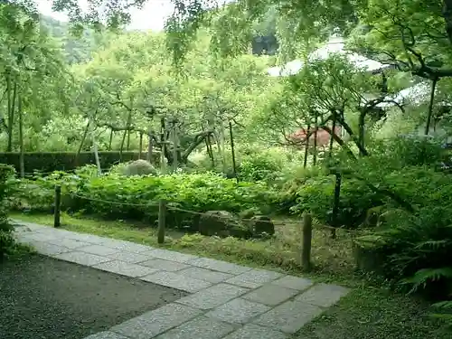 瑞泉寺の庭園