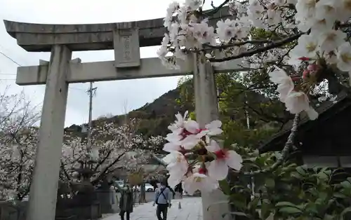 宮地嶽神社の鳥居