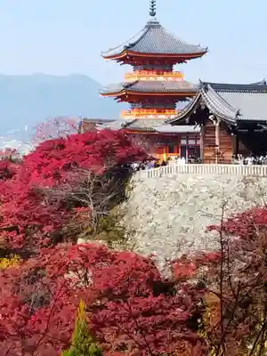清水寺(京都府)