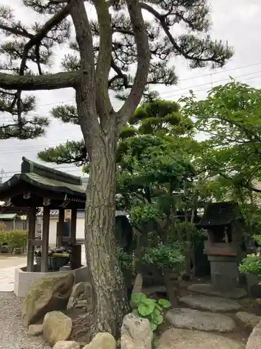 宝蔵寺のその他建物