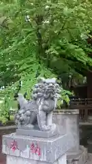 加茂別雷神社の狛犬