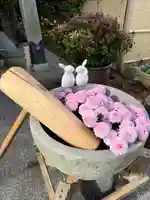 東海市熊野神社の手水舎