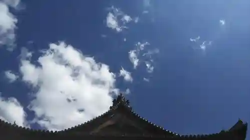 妙心寺（妙心禅寺）の自然