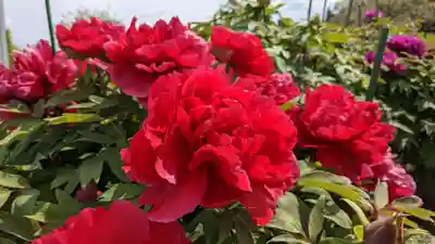 金蛇水神社(宮城県)