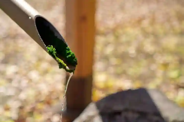 達屋酢蔵神社(長野県)