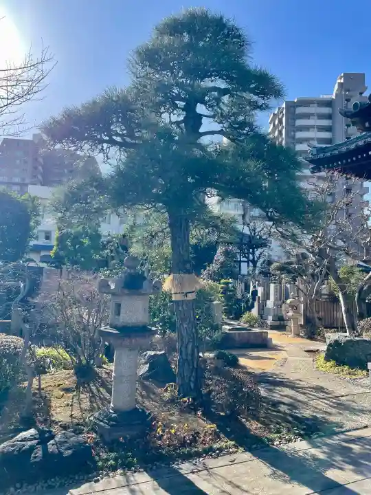 栄松院の{uncategorized: "未分類", other: "その他", undefined: "問題あり", building: "その他建物", grave: "お墓", sacred_gate: "鳥居", guardian: "狛犬", statue: "像", buddha: "仏像", history: "歴史", nature: "自然", garden: "庭園", animal: "動物", pagoda: "塔", temizu: "手水舎", mountain_gate: "山門・神門", sanctuary: "本殿・本堂", subordinate: "末社・摂社", art: "芸術", scenery: "景色", jizo: "地蔵", ema: "絵馬", goshuin: "御朱印", omikuji: "おみくじ", items: "授与品その他", amulet: "お守り", goshuincho: "御朱印帳", eats: "食事", festival: "お祭り", votive_dance: "神楽", shichigosan: "七五三参", wedding: "結婚式", experience: "体験その他", initially: "初詣", around: "周辺", anti_infection: "感染症対策"}