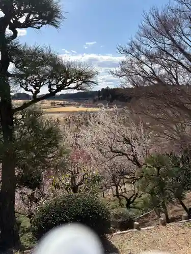 常磐神社(茨城県)
