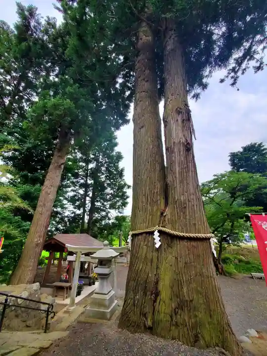 高司神社〜むすびの神の鎮まる社〜の自然