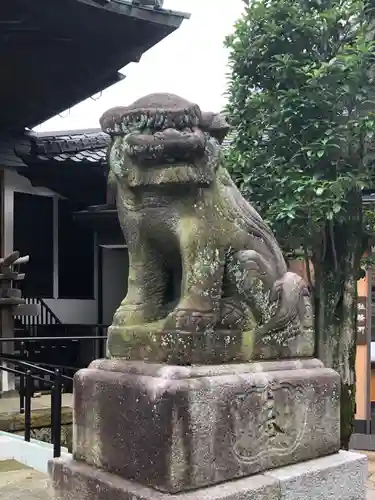 狭山八幡神社の狛犬