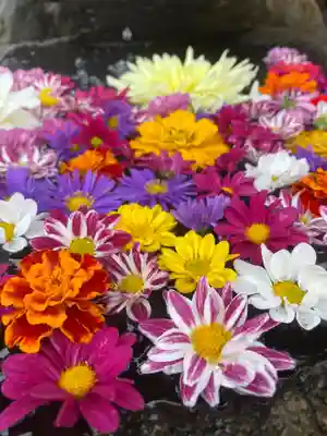 大鏑神社の手水舎