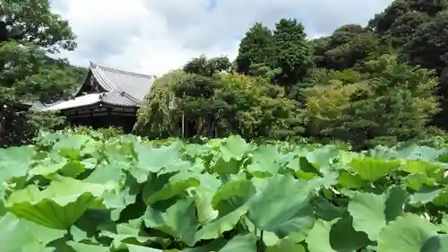 法金剛院の庭園