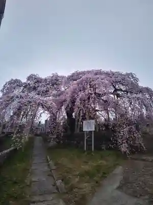 日輪寺(福島県)