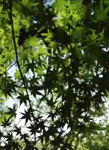 瀧宮神社(広島県)