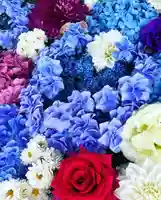 三輪神社(岐阜県)