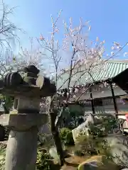 玉林寺(東京都)