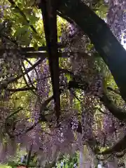 国造神社(熊本県)