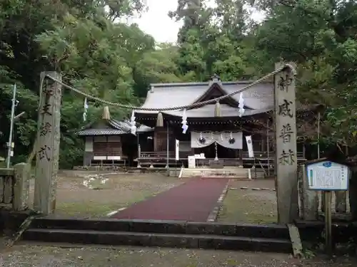 秦神社の本殿