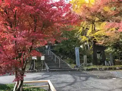 岩屋寺(京都府)